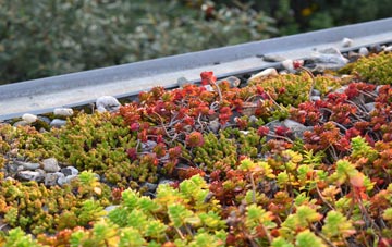 the cost of Bankend green roof installation