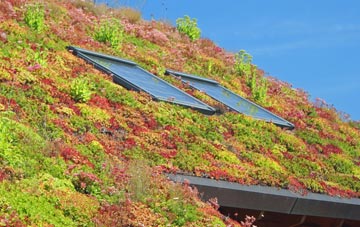 Bankend living roof systems