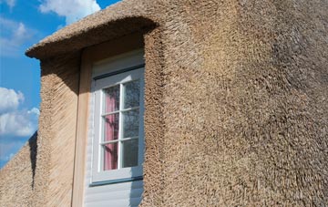 Bankend thatch roof disadvantages