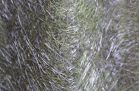 Bankend fibreglass roof work